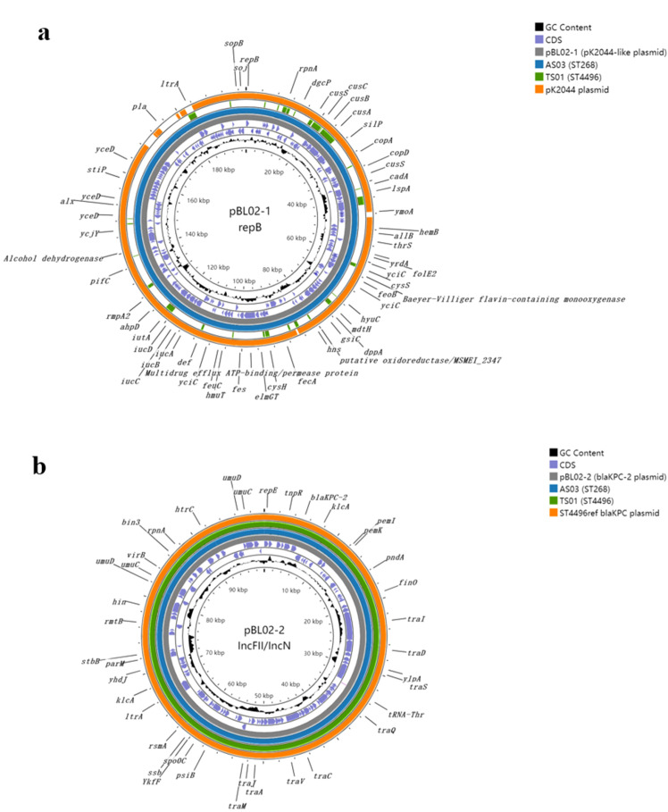 Figure 4