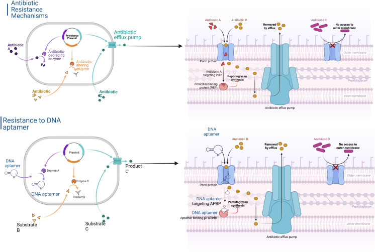 Figure 4