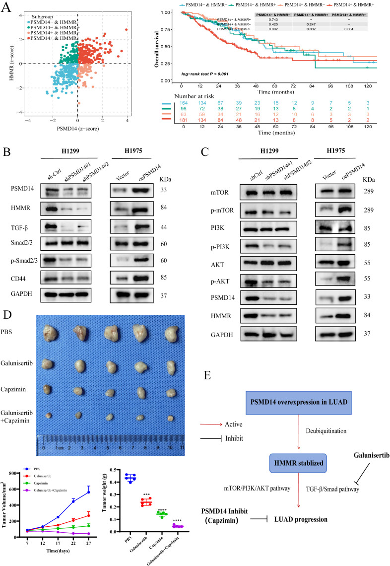 Figure 12