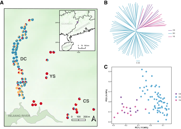 Figure 2