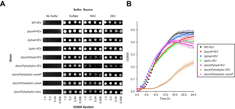Figure 4