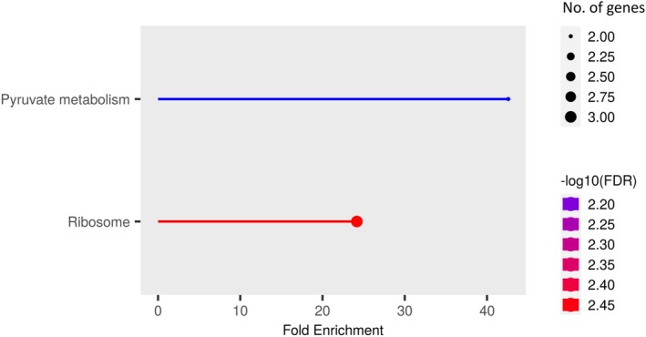 FIGURE 4
