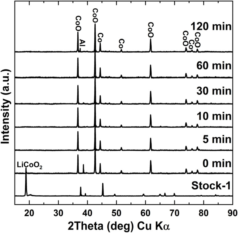 Fig. 8