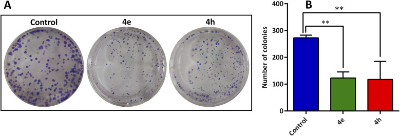 Fig. 8