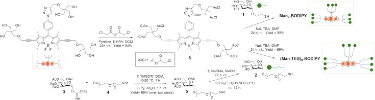 Scheme 1