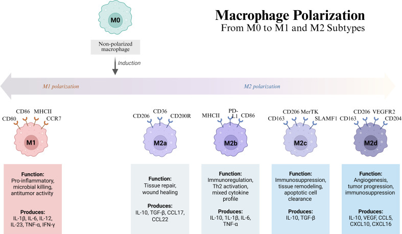 Figure 6