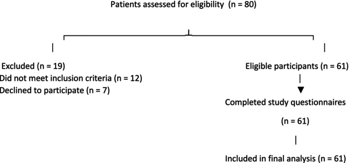 FIGURE 1