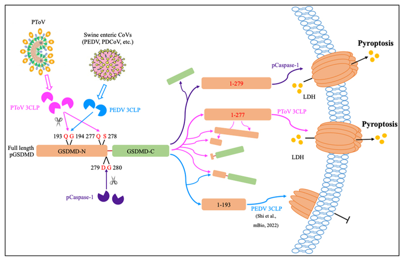 Figure 15