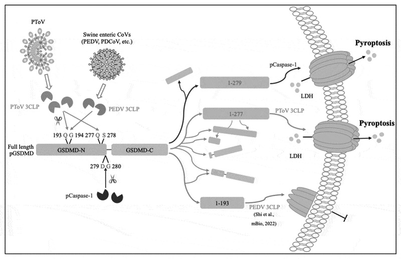 Figure 16