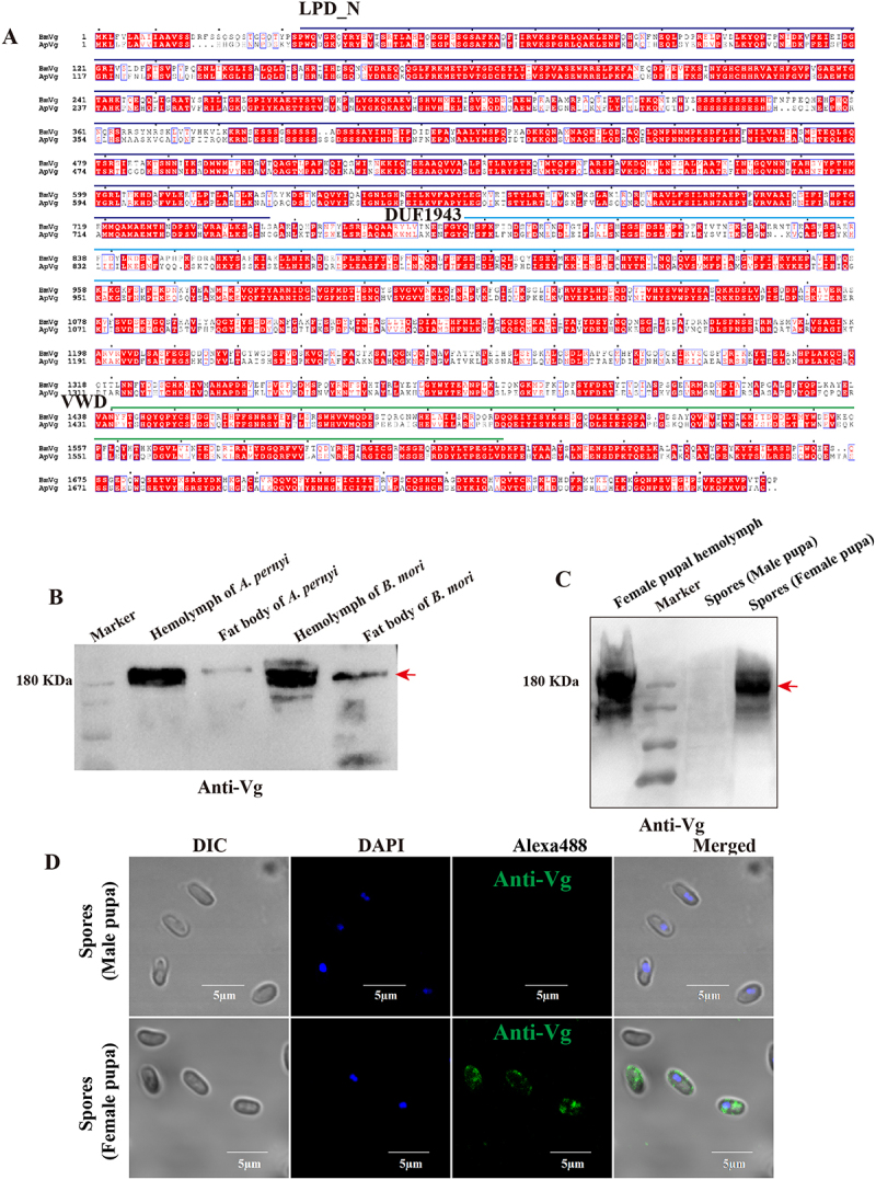 Figure 15