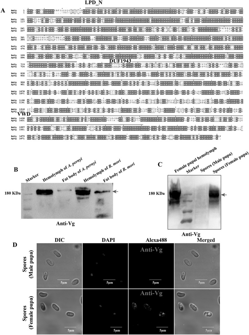 Figure 16