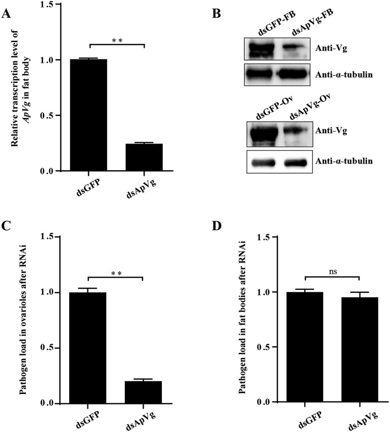 Figure 19