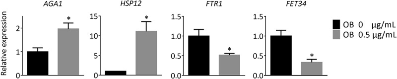 Figure 10