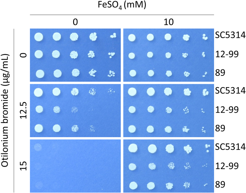 Figure 11
