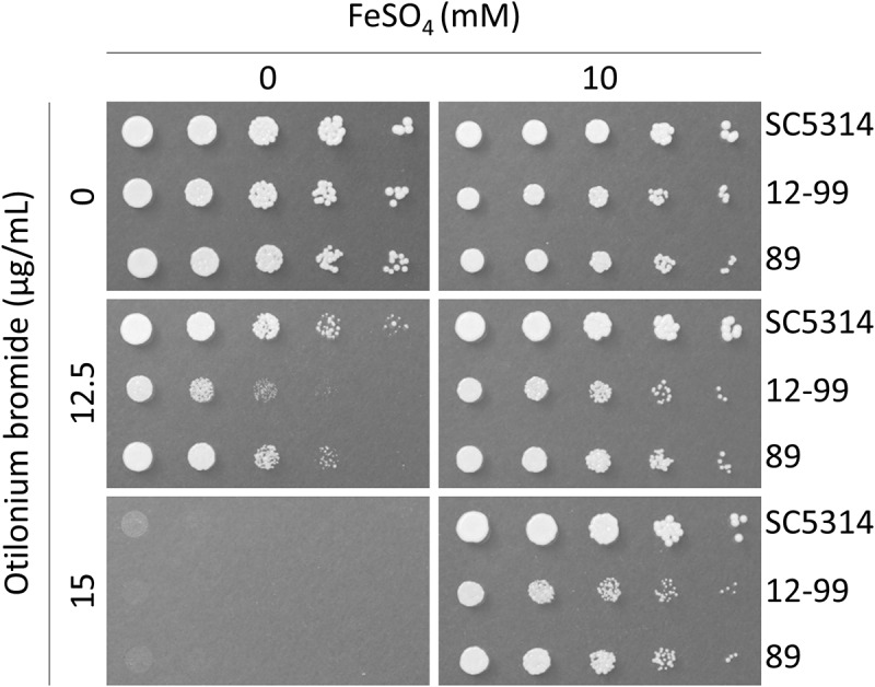 Figure 12