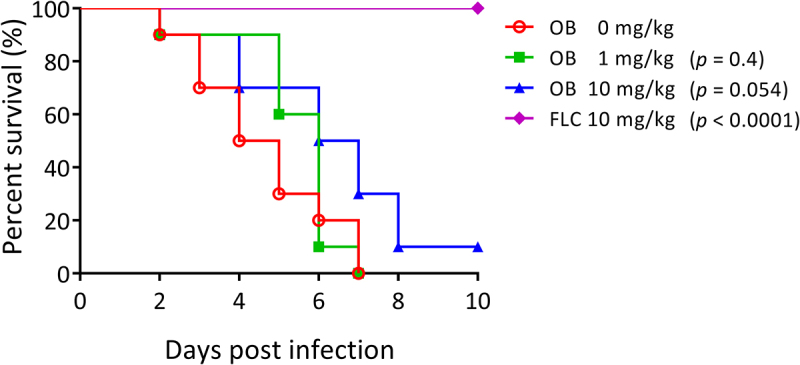 Figure 13