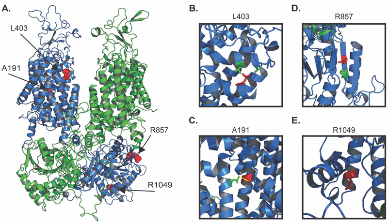 Figure 5