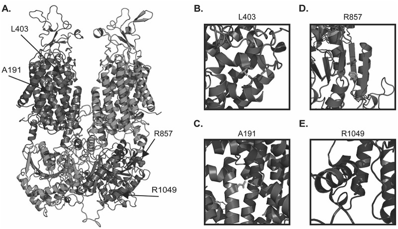 Figure 6