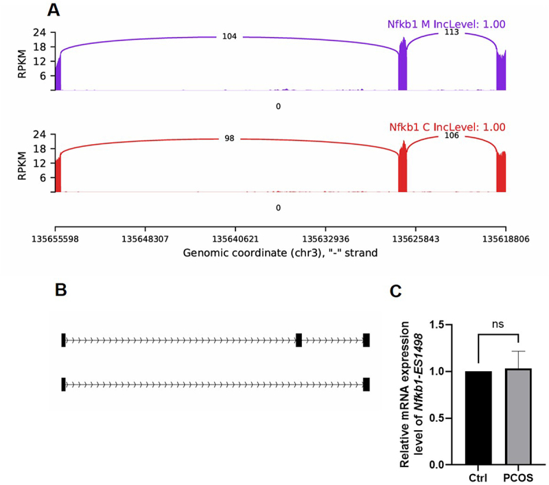 Figure 10