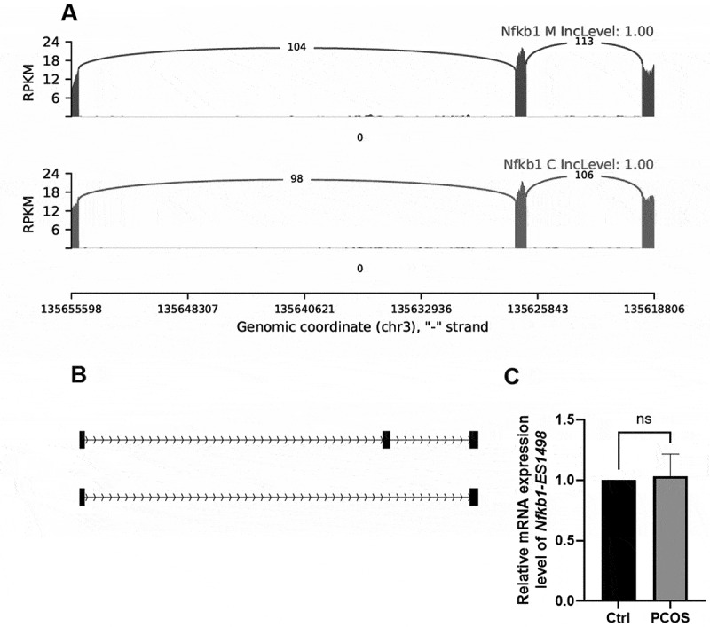 Figure 11