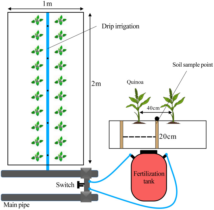 Figure 2