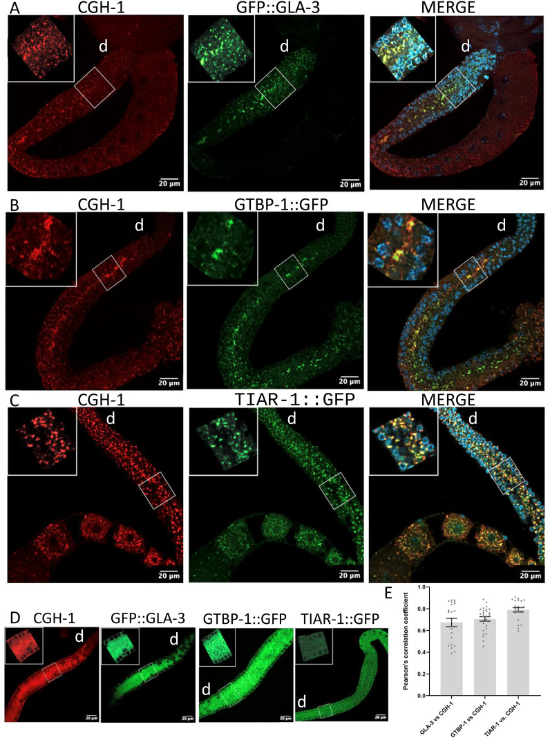 Fig 3