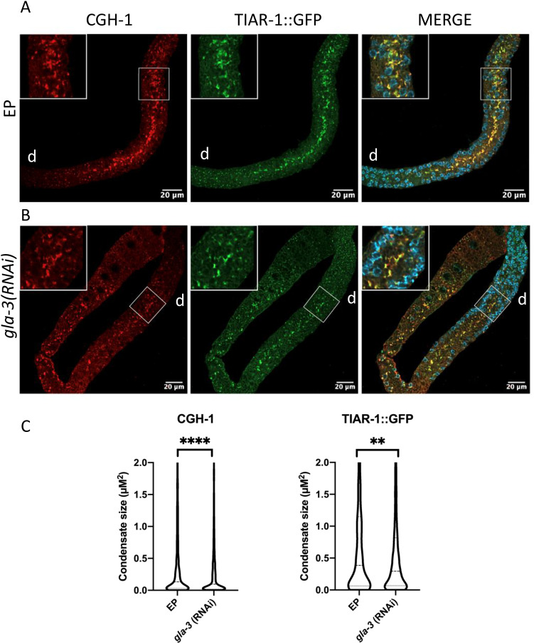 Fig 5