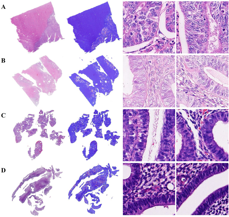 Fig 4