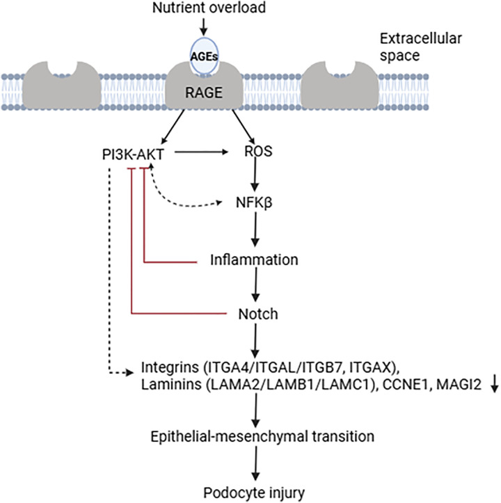 Fig 6
