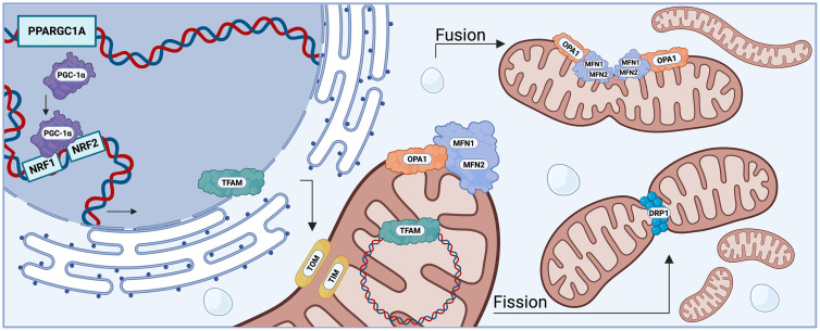 Fig 3