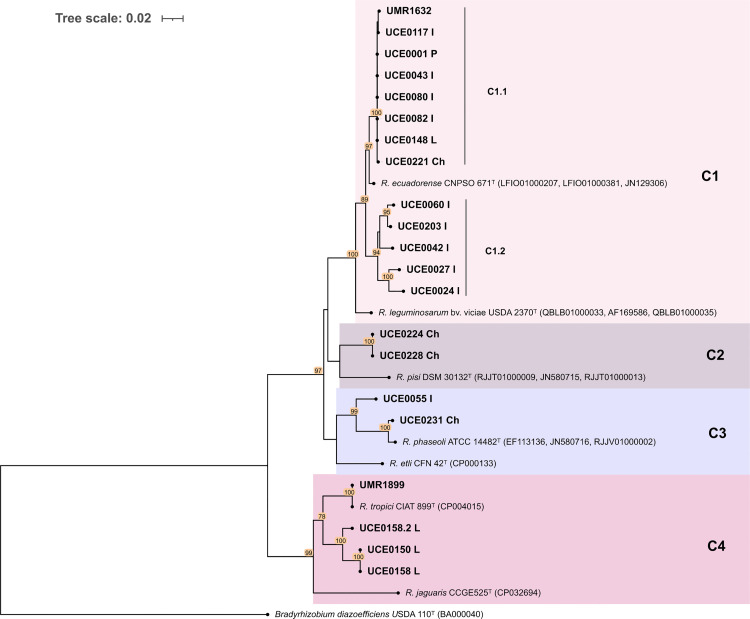 Fig 3
