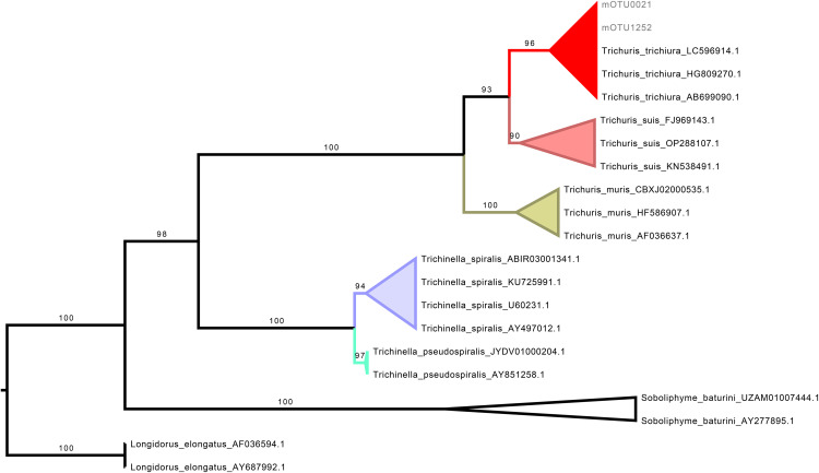 Fig 2