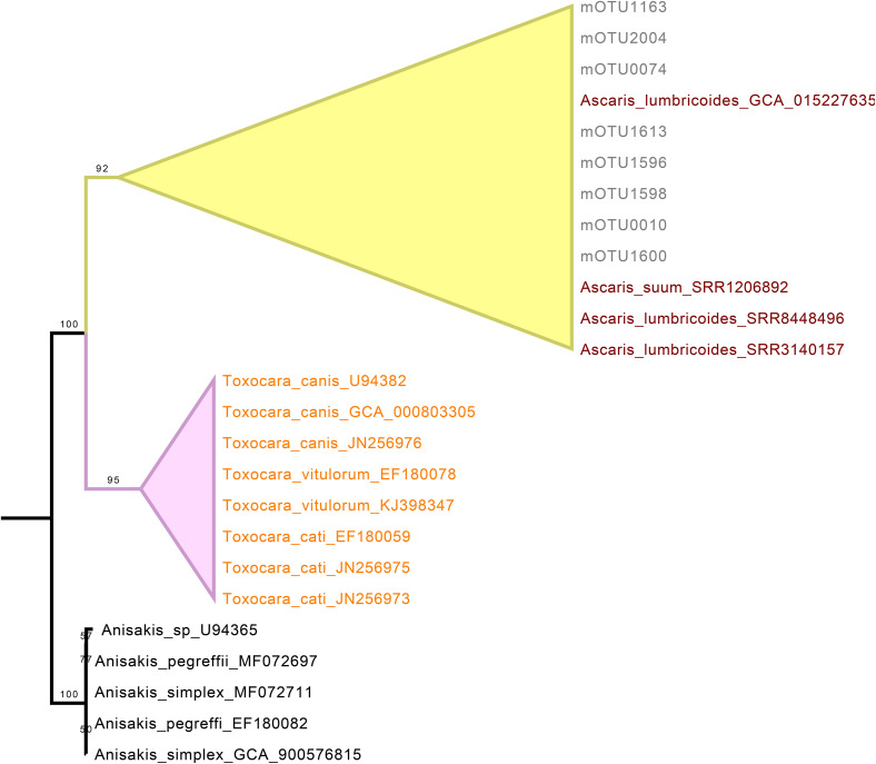Fig 3