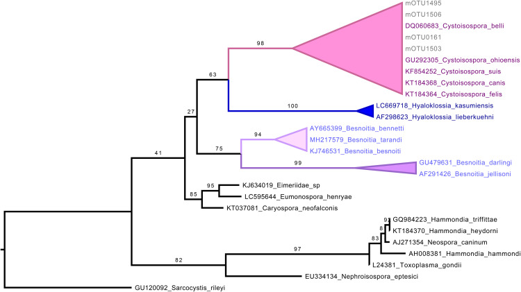 Fig 10