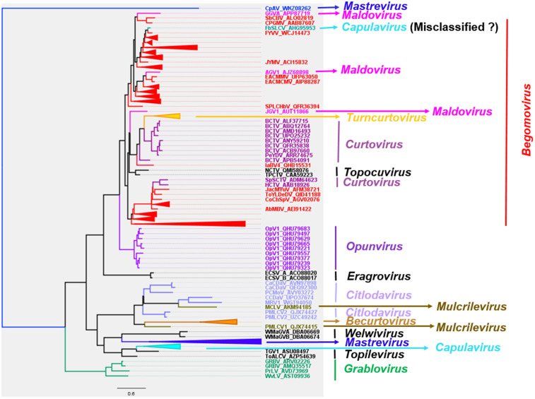 Fig 6