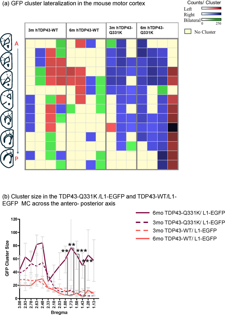Fig 6