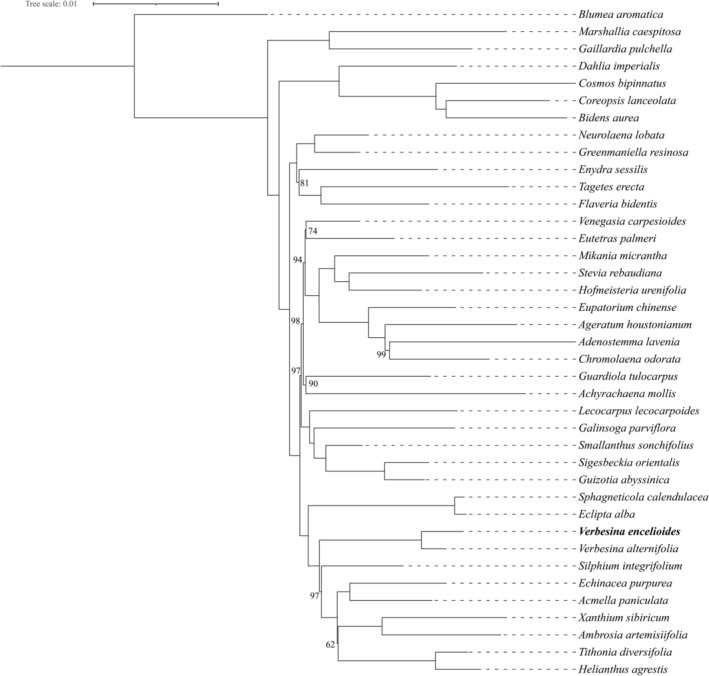 FIGURE 7