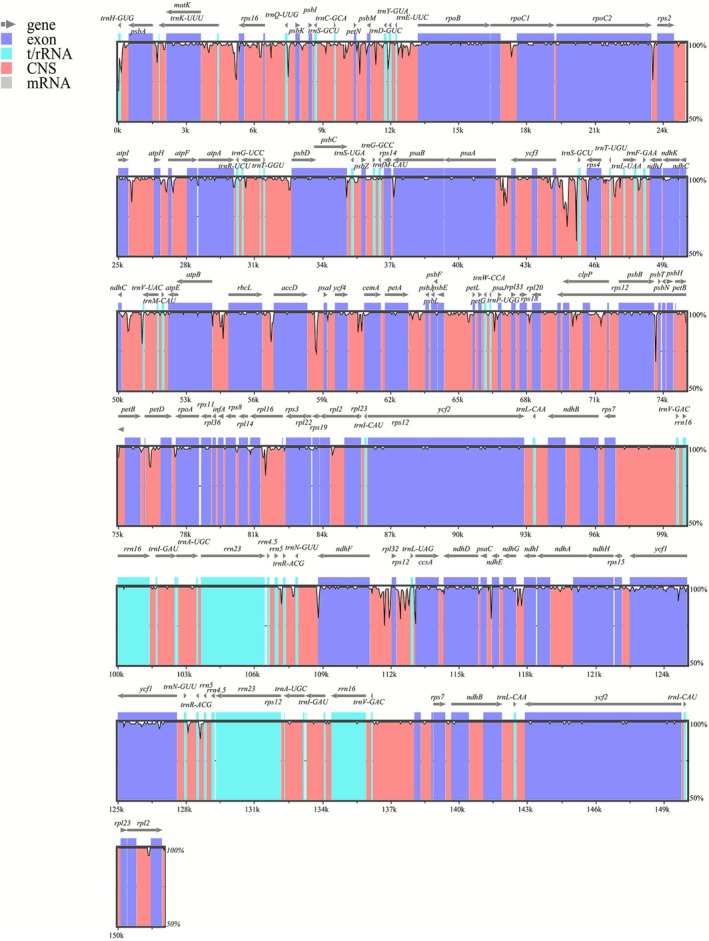 FIGURE 4