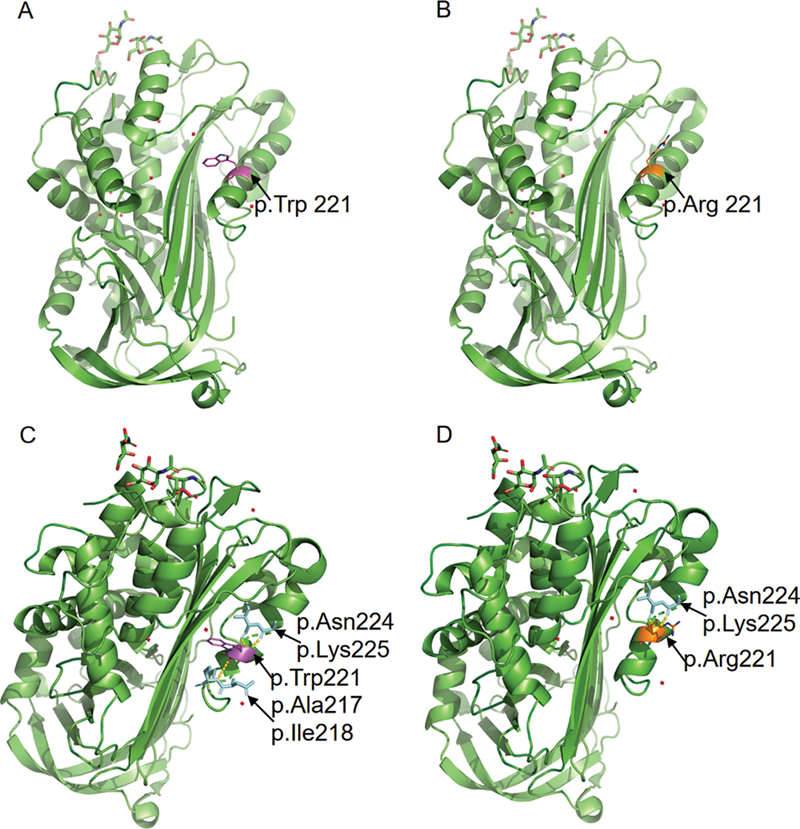 Fig. 3