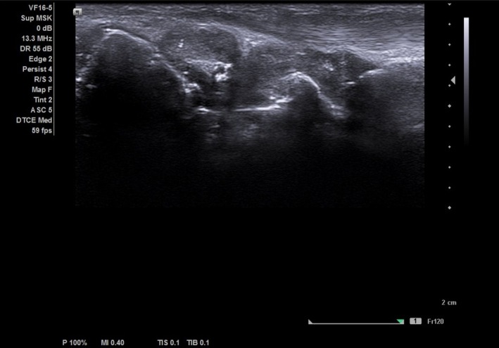 FIGURE 1