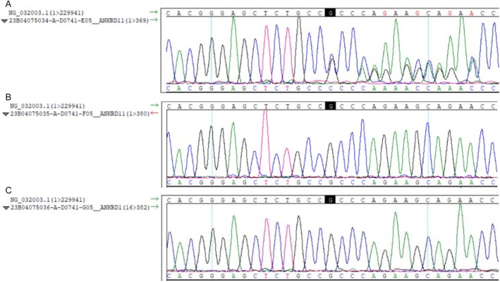 FIGURE 1