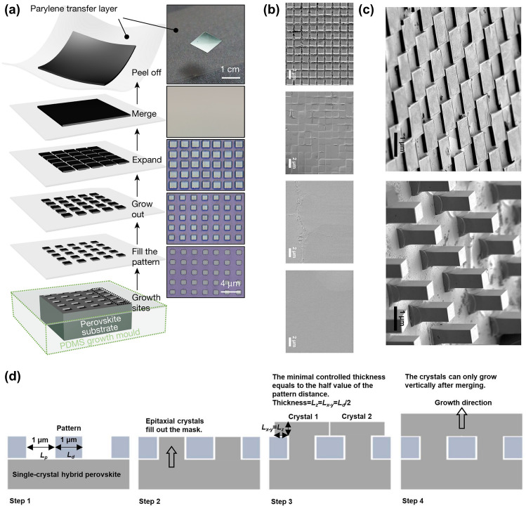 Figure 21