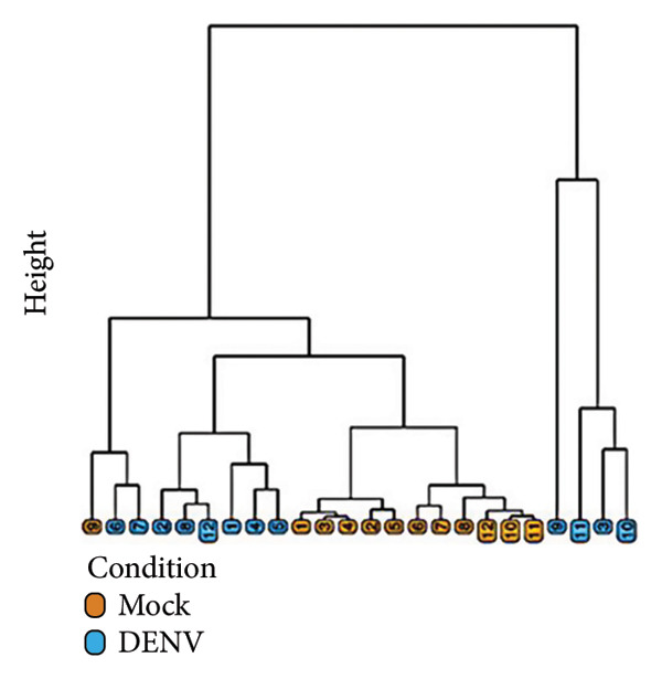 Figure 15
