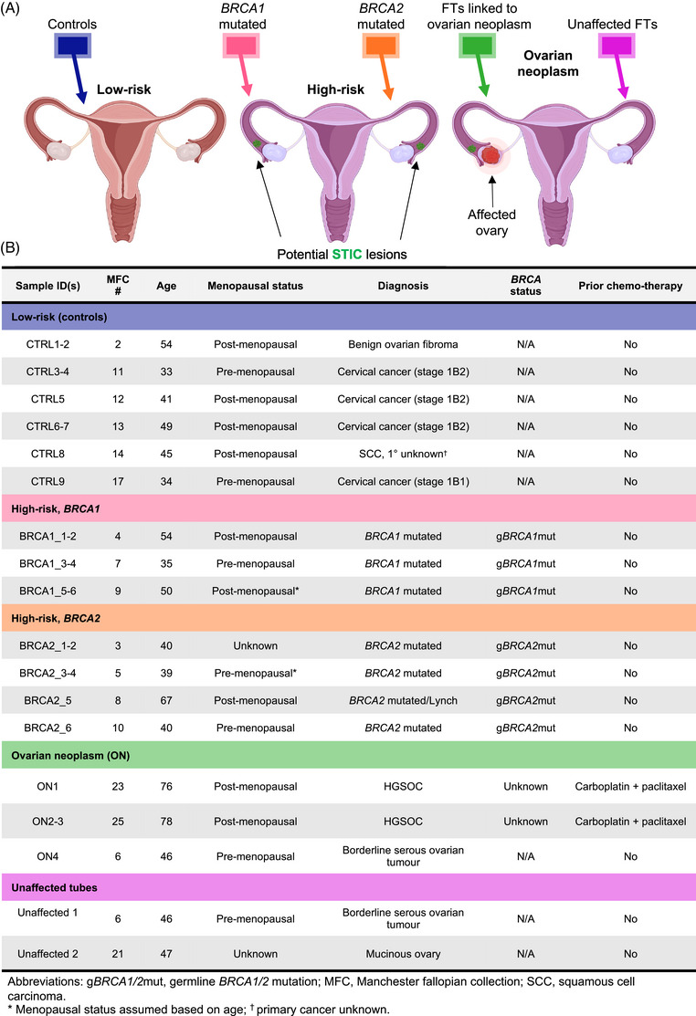 FIGURE 1