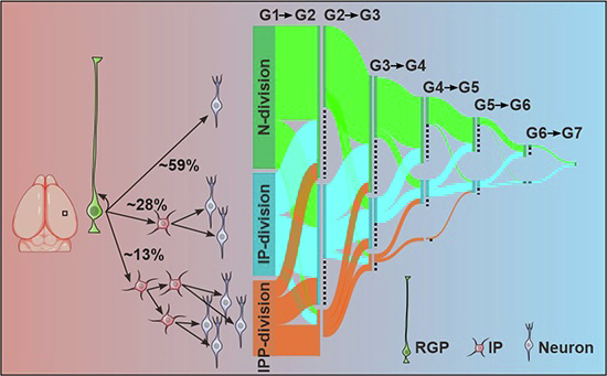 Figure 14