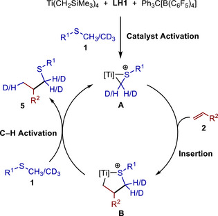 SCHEME 5