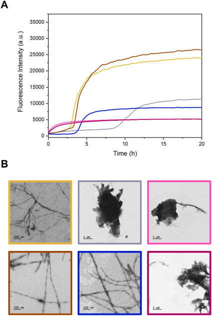 FIGURE 15