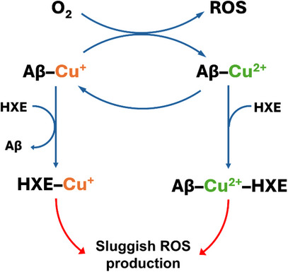 FIGURE 16