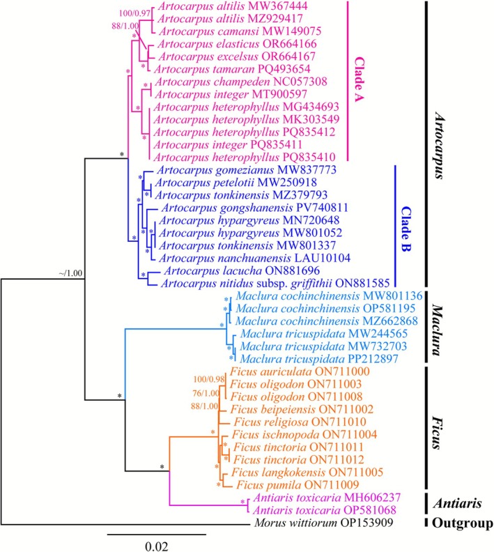 FIGURE 6