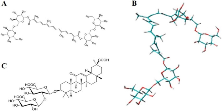 FIGURE 1